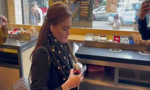 പാകിസ്താൻ പ്രളയക്കെടുതിക്കിടെ ലണ്ടനിൽ കറങ്ങി മന്ത്രി മറിയം; ചോദ്യം ചെയ്ത് പ്രവാസികൾ