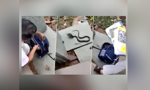 ബാഗിനുള്ളിൽ ഒരനക്കം..! വിദ്യാർഥിനിയുടെ പരാതി കേട്ട് തുറന്നുനോക്കിയ ടീച്ചർ കണ്ടത്..! വിഡിയോ വൈറൽ