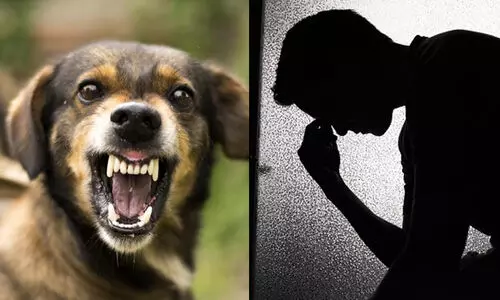 ജോലിക്ക് പോകാൻ മടി; അച്ഛനെ തെരുവുനായ കടിച്ചെന്ന് കഥ മെനഞ്ഞയാൾക്കെതിരെ കേസ് ജോലിക്ക് പോകാൻ മടി; അച്ഛനെ തെരുവുനായ കടിച്ചെന്ന് കഥ മെനഞ്ഞയാൾക്കെതിരെ കേസ്