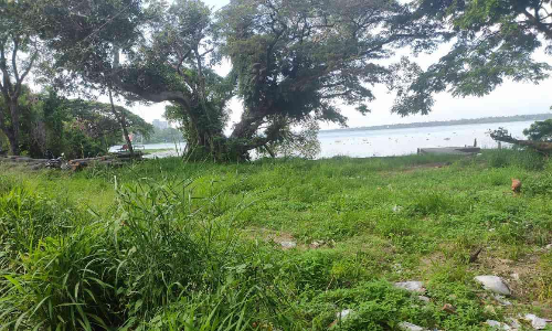 അഗ്നിരക്ഷാസേനയുടെ പുതിയ കെട്ടിടം അരൂരിൽ കായൽക്കരയിൽ തന്നെ നിർമ്മിക്കും