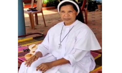 സിസ്‌റ്റർ ലൂസി സത്യഗ്രഹം തുടങ്ങി; കൈയേറ്റത്തിന് ശ്രമിച്ച രണ്ടുപേർ പിടിയിൽ