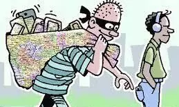 theft case theft case