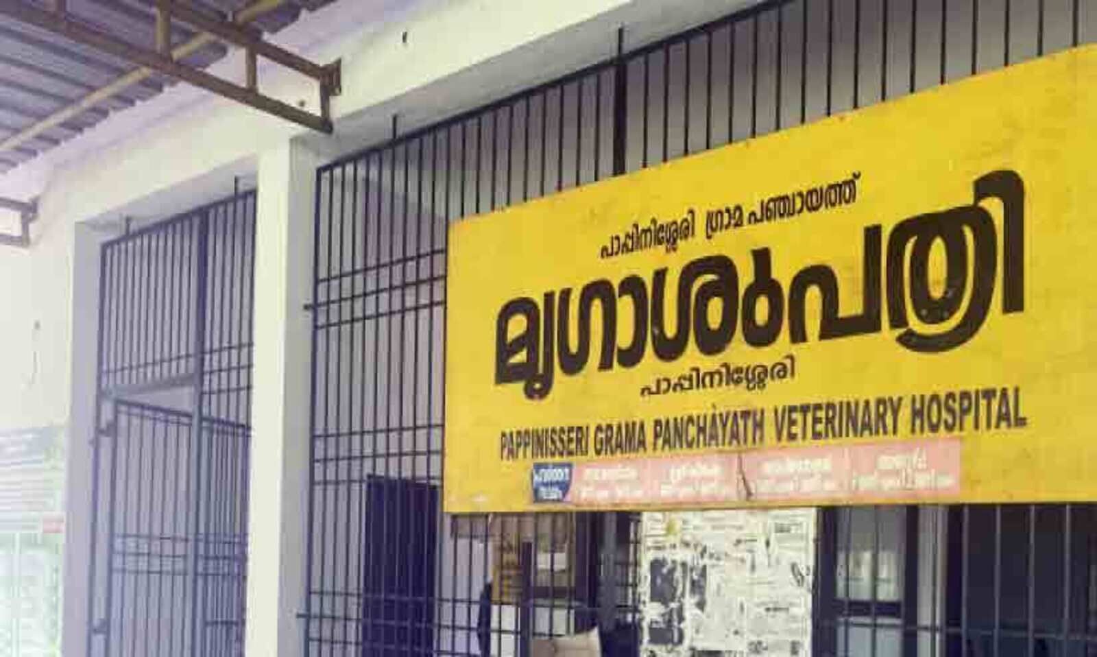 പാപ്പിനിശ്ശേരി മൃഗാശുപത്രിയിൽ ലൈവ് സ്റ്റോക് ഇൻസ്പെക്ടറെ നിയമിക്കും പാപ്പിനിശ്ശേരി മൃഗാശുപത്രിയിൽ ലൈവ് സ്റ്റോക് ഇൻസ്പെക്ടറെ നിയമിക്കും