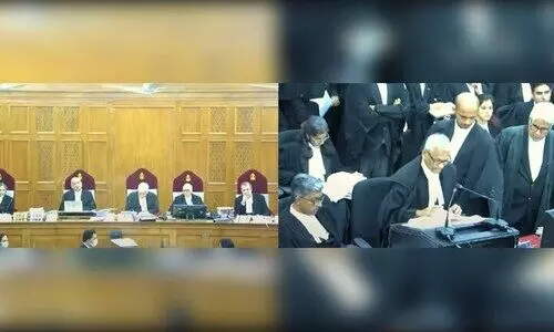 constitutional bench