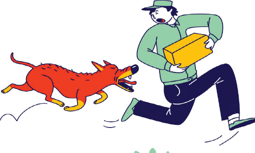 തെരുവുനായ്ക്കളുടെ പേവിഷ പ്രതിരോധ കുത്തിവെപ്പ് തുടങ്ങിയില്ല