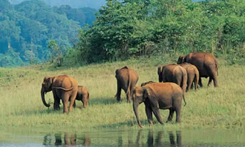 വന്യജീവി സങ്കേതങ്ങളില്‍ പ്രവേശനം സൗജന്യം