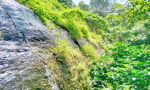 വാളത്തൂർ കരിങ്കൽ ക്വാറിക്ക് ലൈസൻസ് പ്രതിഷേധവുമായി നാട്ടുകാർ