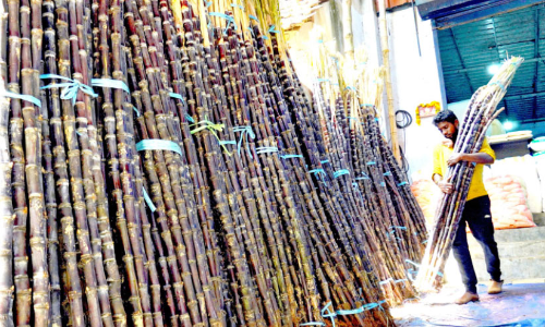 പാളയത്ത് കരിമ്പിൻ മധുരം