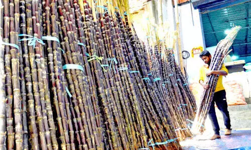 പാളയത്ത് കരിമ്പിൻ മധുരം