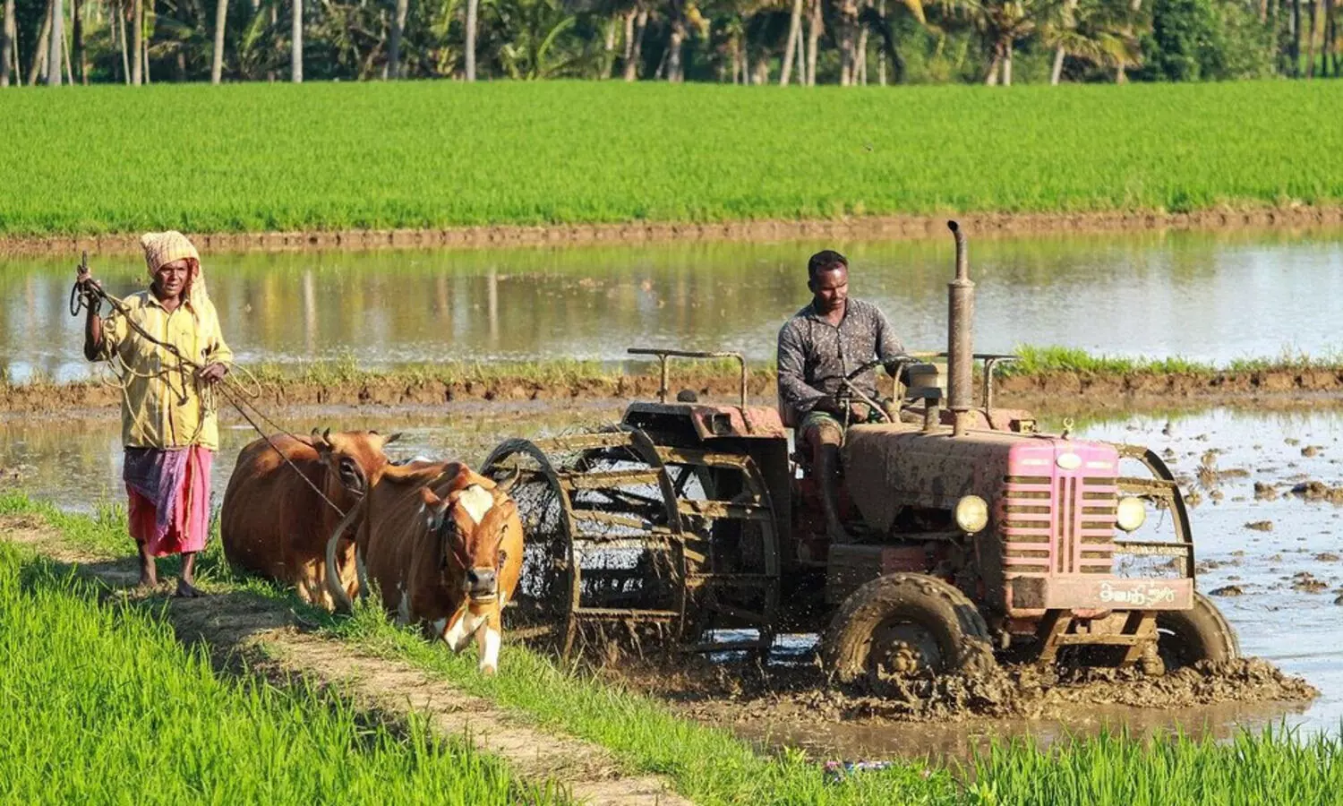കുത്തഴിഞ്ഞ് കൃഷി ഓഫിസ്; കോടിക്കണക്കിന് രൂപയുടെ യന്ത്രോപകരണങ്ങൾ ഉപയോഗശൂന്യം