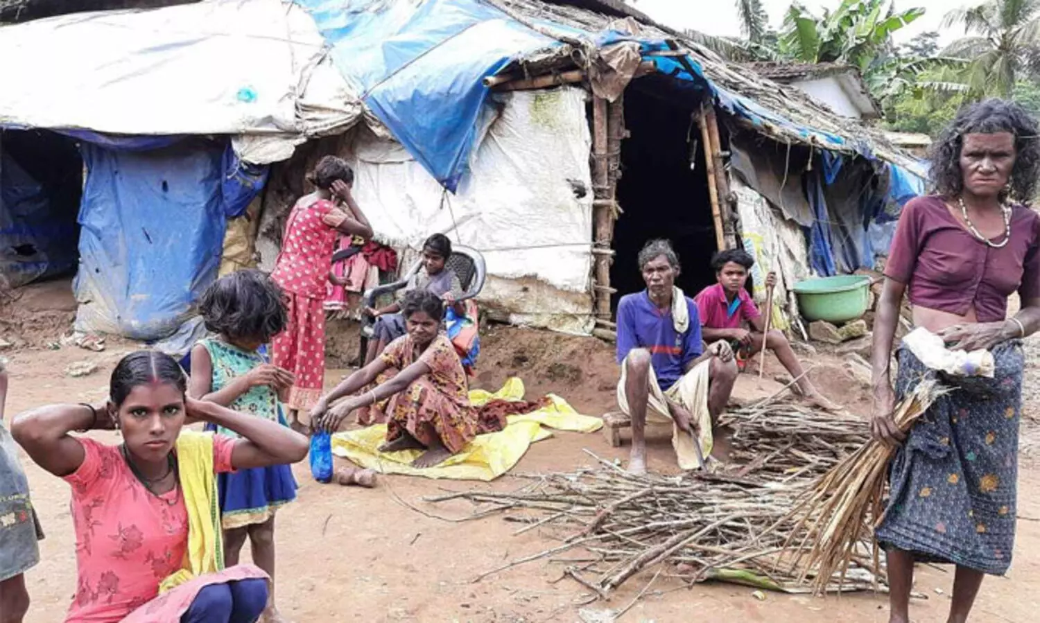 ആദിവാസി കോളനികളിൽ ഡിജിറ്റലി കണക്റ്റഡ് പദ്ധതി നടപ്പാക്കാൻ ഭരണാനുമതി
