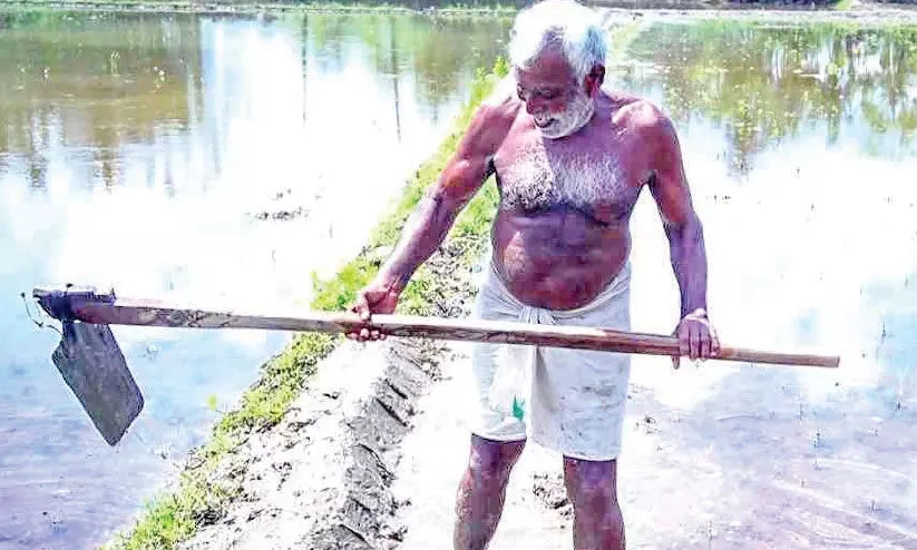 72ാം വയസ്സിലും വരമ്പുകിളക്കാന്‍ അന്തോണിയുണ്ട്