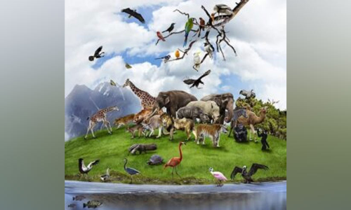 വനം-വന്യജീവി വാരാഘോഷം; സംസ്ഥാനതല ഉദ്ഘാടനം നാളെ മാനന്തവാടിയിൽ വനം-വന്യജീവി വാരാഘോഷം; സംസ്ഥാനതല ഉദ്ഘാടനം നാളെ മാനന്തവാടിയിൽ