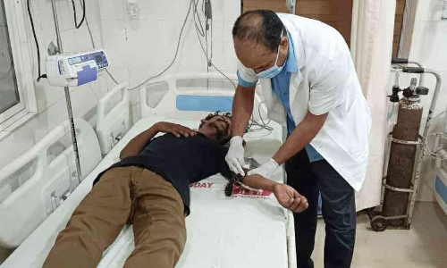 തൊട്ടിൽപ്പാലത്ത് രണ്ടുപേർക്ക് തെരുവുനായുടെ കടിയേറ്റു തൊട്ടിൽപ്പാലത്ത് രണ്ടുപേർക്ക് തെരുവുനായുടെ കടിയേറ്റു