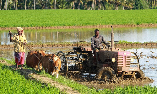 കുത്തഴിഞ്ഞ് കൃഷി ഓഫിസ്; കോടിക്കണക്കിന് രൂപയുടെ യന്ത്രോപകരണങ്ങൾ ഉപയോഗശൂന്യം