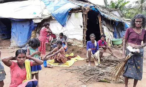 ആദിവാസി കോളനികളിൽ ഡിജിറ്റലി കണക്റ്റഡ് പദ്ധതി നടപ്പാക്കാൻ ഭരണാനുമതി