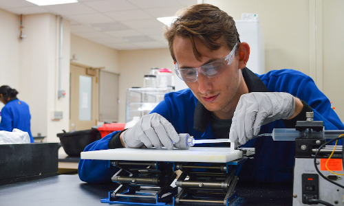 റോബോട്ടുകളെ സസ്യങ്ങളെപ്പോലെ വളരാൻ പ്രാപ്തമാക്കുന്ന പ്രക്രിയ വികസിപ്പിച്ച് ശാസ്ത്രജ്ഞർ -വിഡിയോ