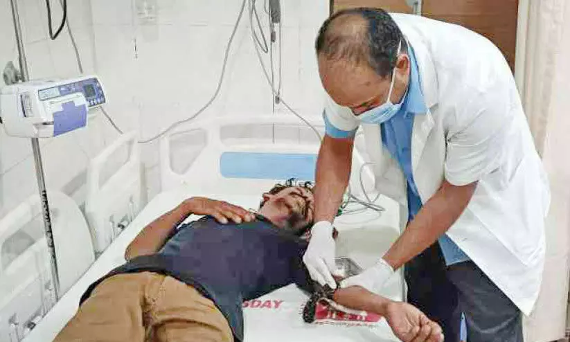 തൊട്ടിൽപാലത്ത് തെരുവുനായ് ആക്രമണം: രണ്ടുപേർക്ക് കടിയേറ്റു