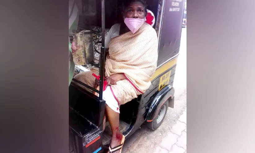 കൊട്ടാരക്കരയിൽ 17 പേർക്ക് തെരുവുനായ്ക്കളുടെ കടിയേറ്റു കൊട്ടാരക്കരയിൽ 17 പേർക്ക് തെരുവുനായ്ക്കളുടെ കടിയേറ്റു