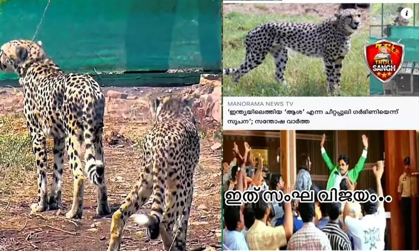 ആശക്ക് വിശേഷമെന്ന് വാർത്ത; ഇത് സംഘവിജയമെന്ന് ട്രോളന്മാർ