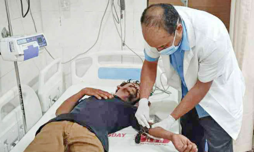 തൊട്ടിൽപാലത്ത് തെരുവുനായ് ആക്രമണം: രണ്ടുപേർക്ക് കടിയേറ്റു