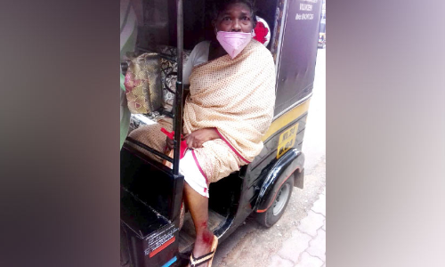 കൊട്ടാരക്കരയിൽ 17 പേർക്ക് തെരുവുനായ്ക്കളുടെ കടിയേറ്റു