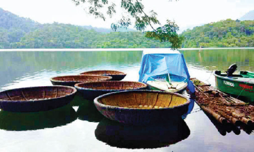 വന്യജീവി വാരാഘോഷം; അണിഞ്ഞൊരുങ്ങി ചിമ്മിനി