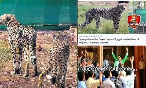 ആശക്ക് വിശേഷമെന്ന് വാർത്ത; ഇത് സംഘവിജയമെന്ന് ട്രോളന്മാർ