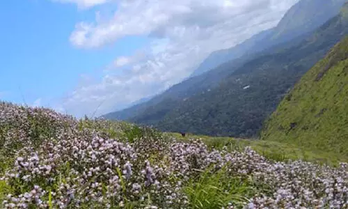 Neelakurinji, KSRTC, bus service