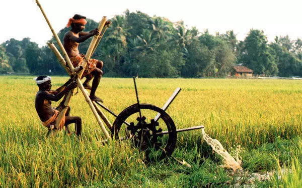 കർഷകരുടെ പരാതിയിൽ കൃഷി ഓഫിസിലെ ജീവനക്കാർക്കെതിരെ നടപടിയെടുക്കണമെന്ന് റിപ്പോർട്ട്