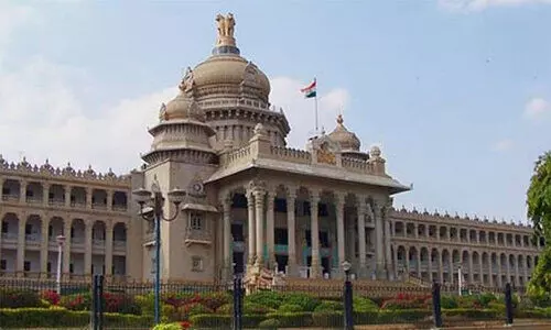 Prohibition of religious conversion law