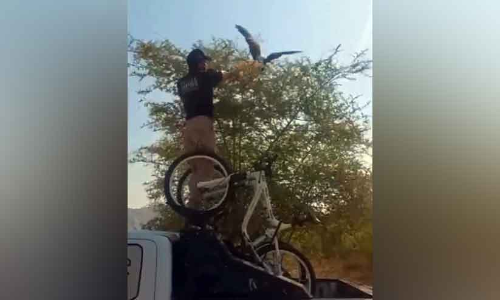 ചെടിയിൽ കുരുങ്ങിയ പരുന്തിന് രക്ഷകനായി പൊലീസുകാരൻ