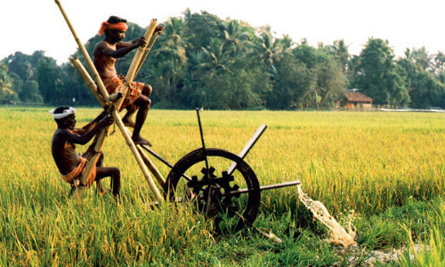 കർഷകരുടെ പരാതിയിൽ കൃഷി ഓഫിസിലെ ജീവനക്കാർക്കെതിരെ നടപടിയെടുക്കണമെന്ന് റിപ്പോർട്ട്