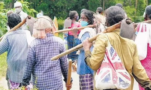തൊഴിലുറപ്പ് പദ്ധതിയുമായി ബന്ധപ്പെട്ട പരാതികൾ അറിയിക്കാം