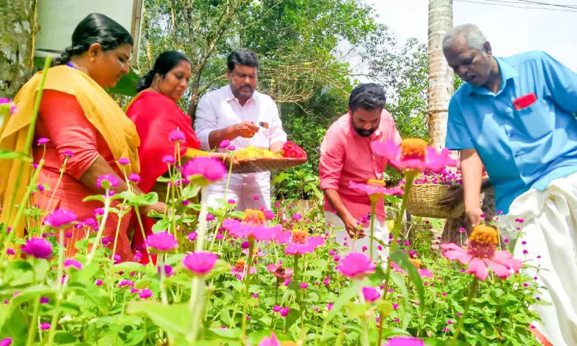Flower cultivation of Pandalam Thekkakara Panchayat
