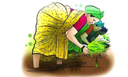 National Rural Employment Guarantee