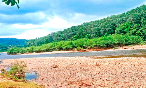 ബാവലി പുഴ രണ്ടായിപ്പിരിഞ്ഞ് തുരുത്ത്; പുഴയോരത്ത് ആശങ്ക