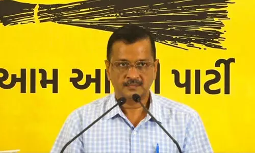 Arvind Kejriwal On Probe Into Delhi Free Power Scheme