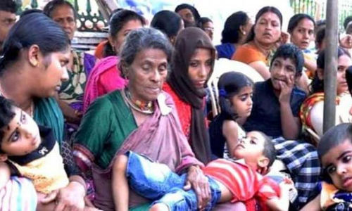 എൻഡോസൾഫാൻ സമരം: ദയാബായി അറസ്റ്റിൽ -VIDEO