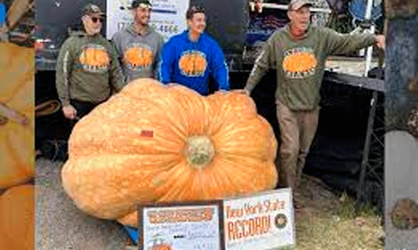 1158 കിലോ ഭാരം! ഭീമൻ മത്തങ്ങയുമായി ന്യൂയോർക്കിലെ കർഷകൻ