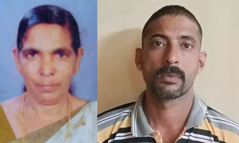 തളർന്ന് കിടപ്പിലായ വയോധികയെ കൊന്ന കേസിൽ മകൻ അറസ്റ്റിൽ; തെളിവ് നശിപ്പിക്കാൻ ശ്രമമെന്ന് പൊലീസ് തളർന്ന് കിടപ്പിലായ വയോധികയെ കൊന്ന കേസിൽ മകൻ അറസ്റ്റിൽ; തെളിവ് നശിപ്പിക്കാൻ ശ്രമമെന്ന് പൊലീസ്