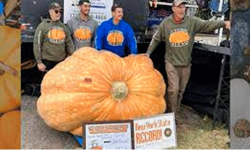 1158 കിലോ ഭാരം! ഭീമൻ മത്തങ്ങയുമായി ന്യൂയോർക്കിലെ കർഷകൻ