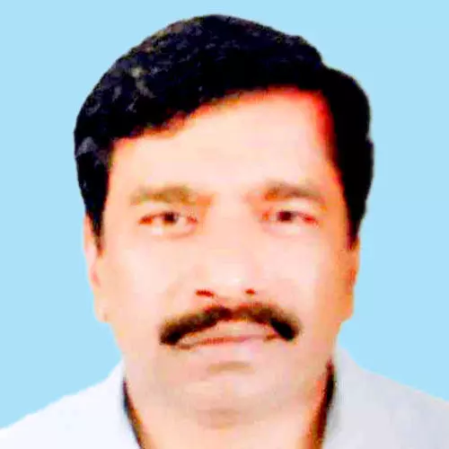 വി​ൽ​സ​ൺ