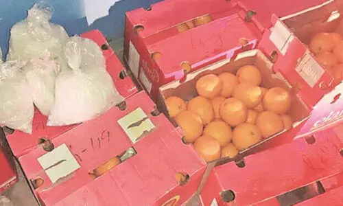 Keralite arrested in Mumbai for importing drugs