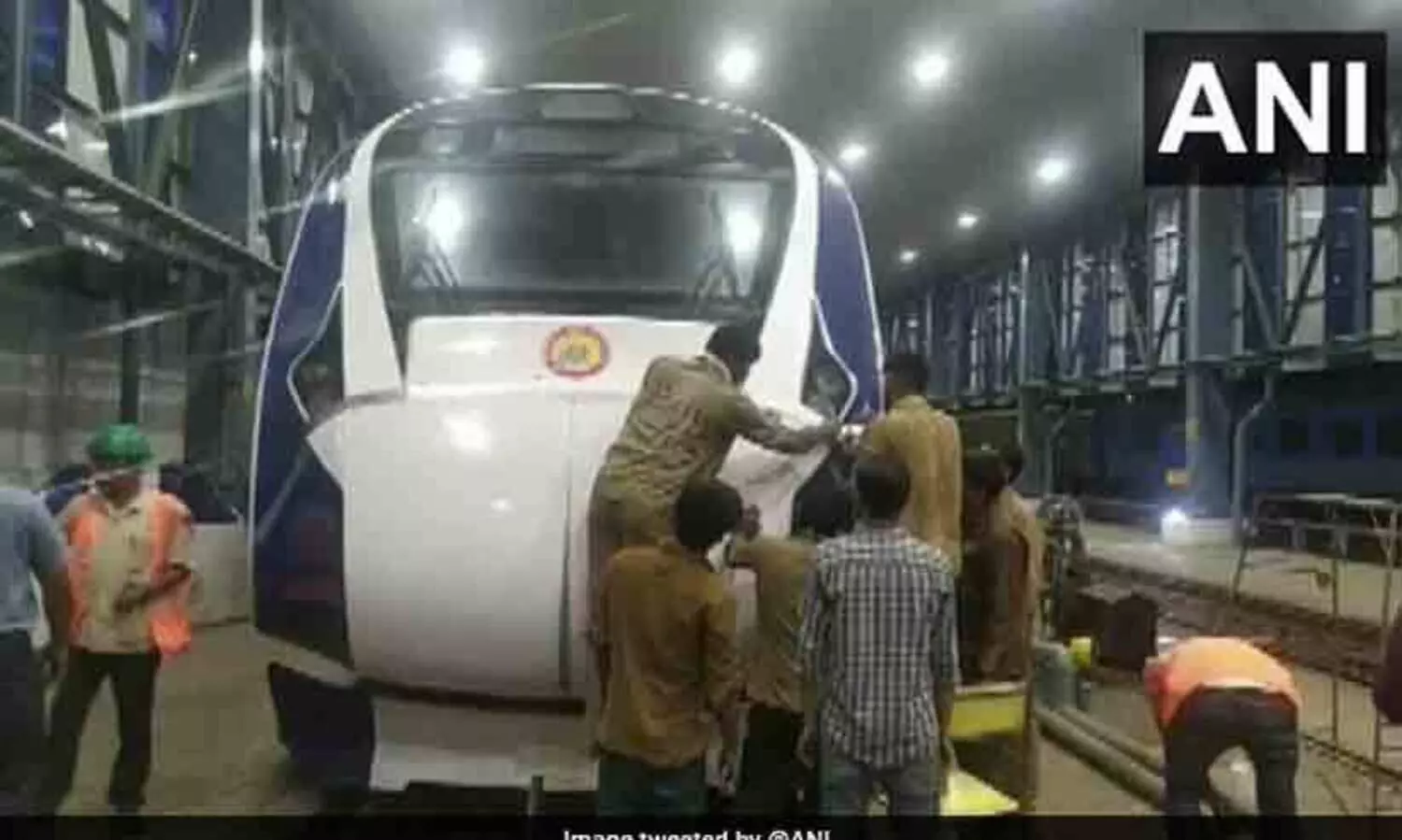 Buffalo Owners Charged After Cattle Hit Damages Train