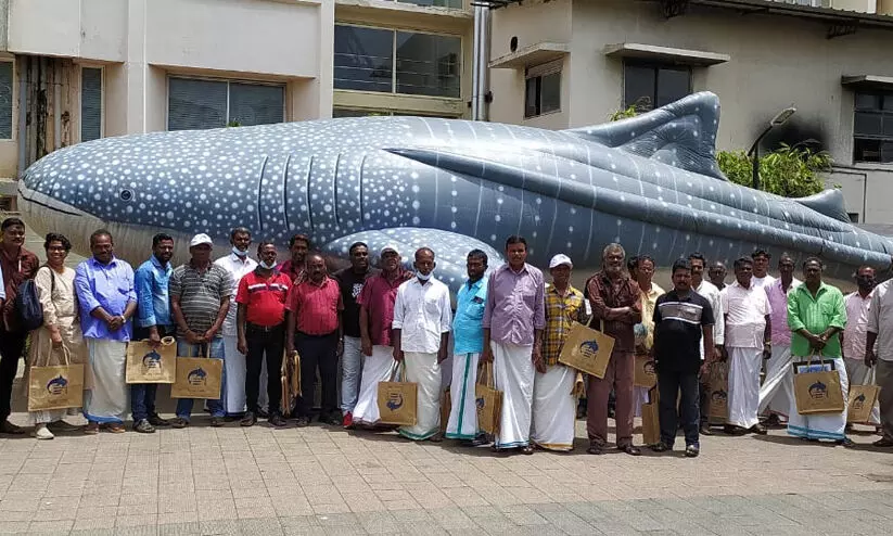 തിമിംഗല സ്രാവിന്റെ സംരക്ഷണത്തിനായുള്ള പദ്ധതി തുടങ്ങി