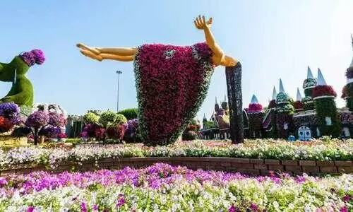 Miracle Garden