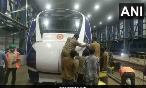 Buffalo Owners Charged After Cattle Hit Damages Train