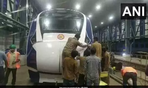 Buffalo Owners Charged After Cattle Hit Damages Train