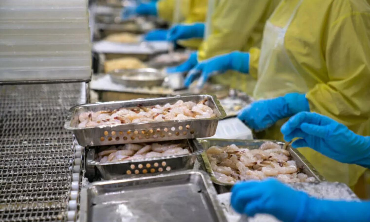 ഭക്ഷ്യയോഗ്യമല്ല; ഇന്ത്യൻ ചെമ്മീനെതിരെ മുന്നറിയിപ്പുമായി ഖത്തർ ആരോഗ്യ മന്ത്രാലയം